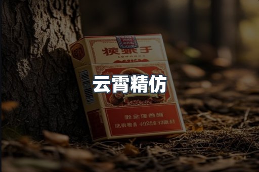 云霄精仿